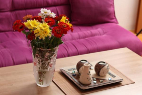 Apartman Vrancic